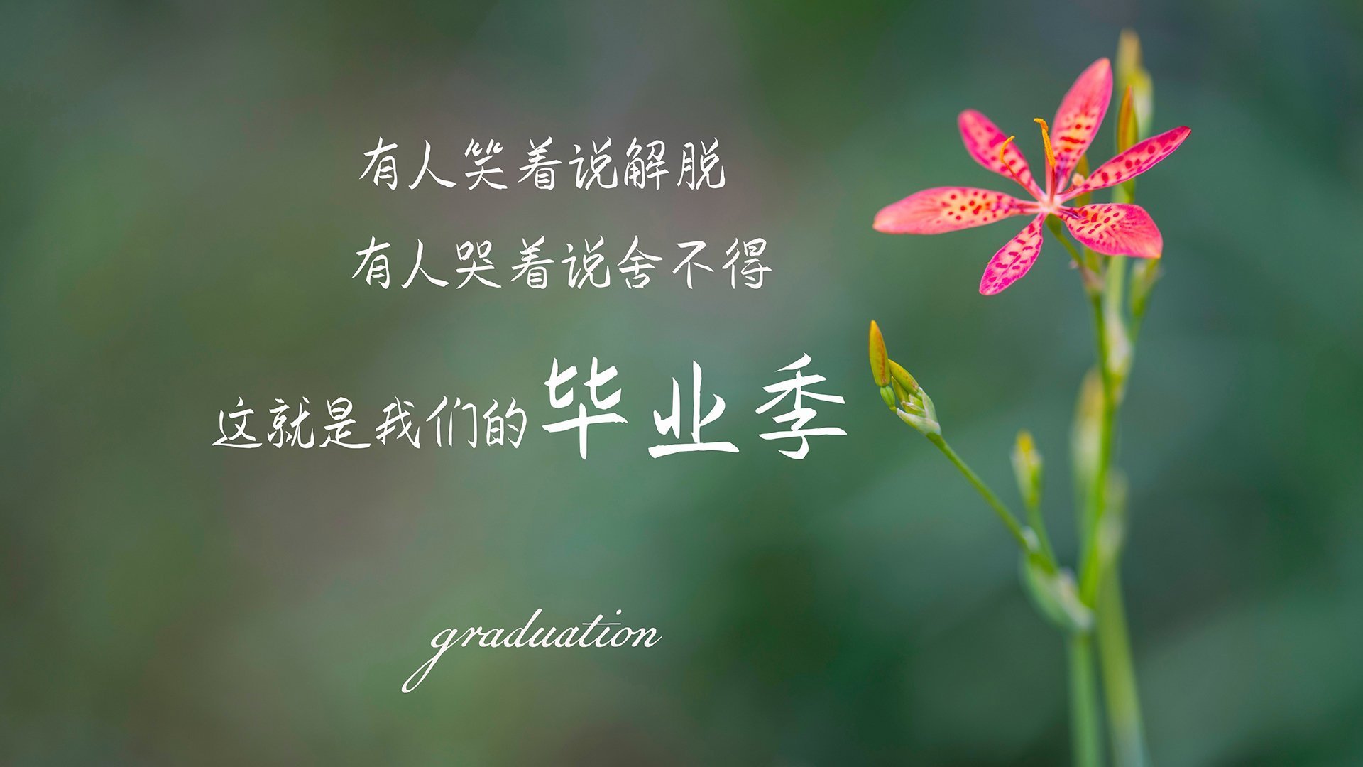 爱游戏电竞-F1中国大奖赛重启，周冠宇家门口挑战极限，周冠宇f1试车手