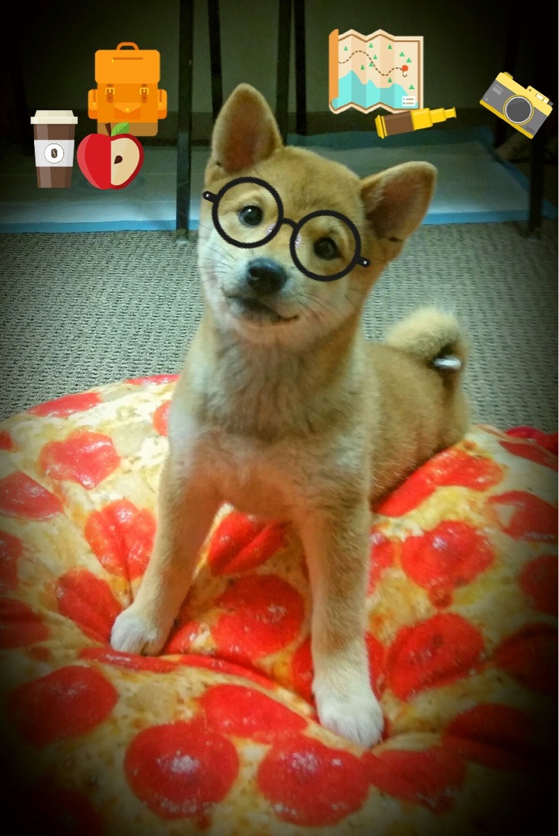 爱游戏真人体育娱乐-德甲激战，教练强调团队合作，德甲激战,教练强调团队合作怎么办