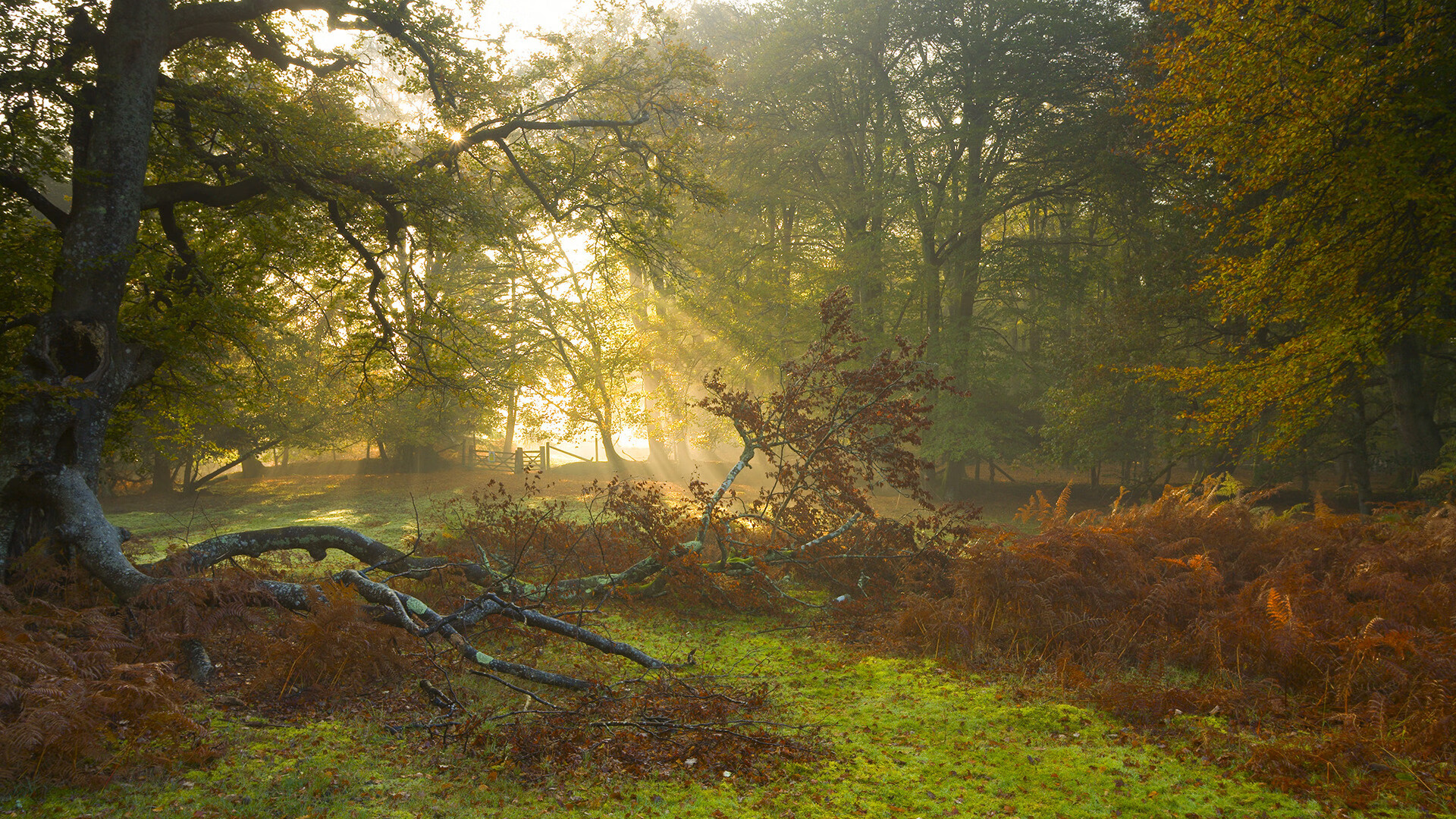 投入升级:体育场馆设施保障中国篮球比赛顺利进行,中国篮球体育馆排名
