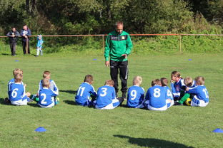 AYX体育-欧洲杯总冠军之争：战术智慧与个人能力的较量，欧洲杯冠军百度百科